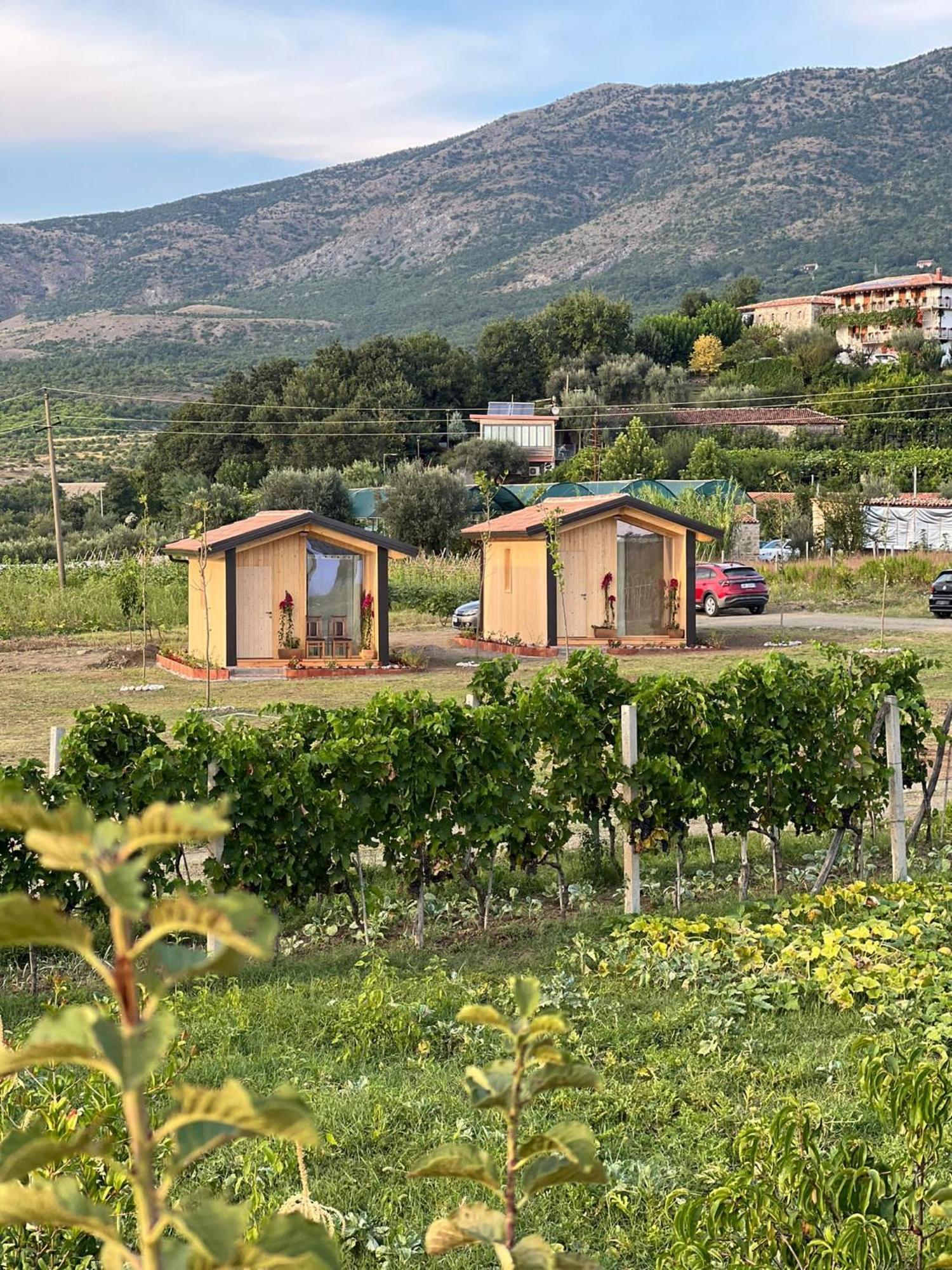 Fishta Guesthouse - Mrizi I Zanave Fishte Exterior photo